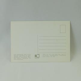 Картинка 2