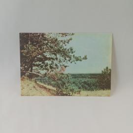 Открытка советская СССР. Шушенское, Журавлиная горка, где гулял В. И. Ленин, пейзаж. винтаж