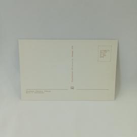 Картинка 2