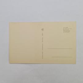 Картинка 2