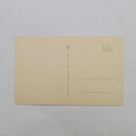Картинка 2