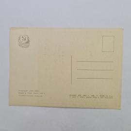Картинка 2