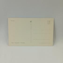 Картинка 2