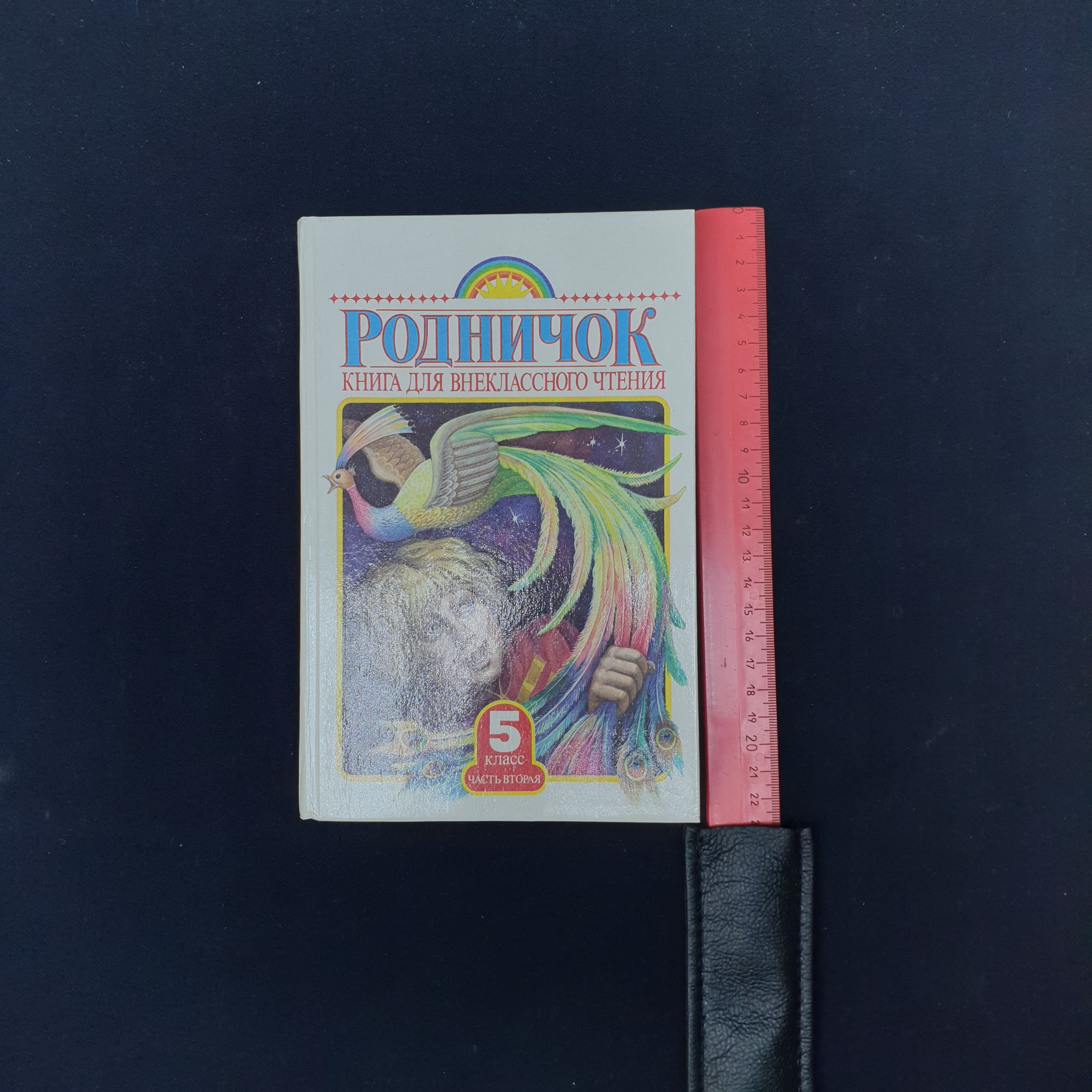 Картинка 6