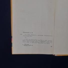 Картинка 4