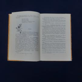 Картинка 3