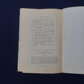 Картинка 4