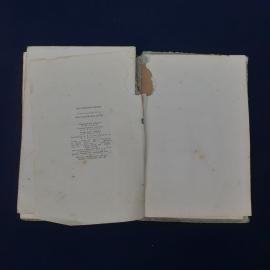 Картинка 3