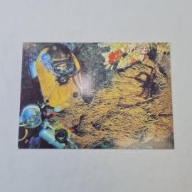 Открытка советская СССР. Подводный мир, лагуна, дайвер у кораллового рифа. Морская тема, винтаж