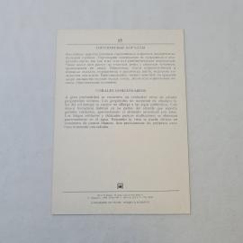 Картинка 2