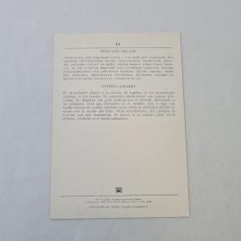 Картинка 2