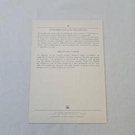 Картинка 2