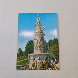 Картинка 1