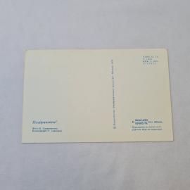 Картинка 2