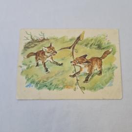 Открытка советская СССР. Лисята с веткой, лесная сказка по стихам Холина. Винтаж, ИЗОГИЗ