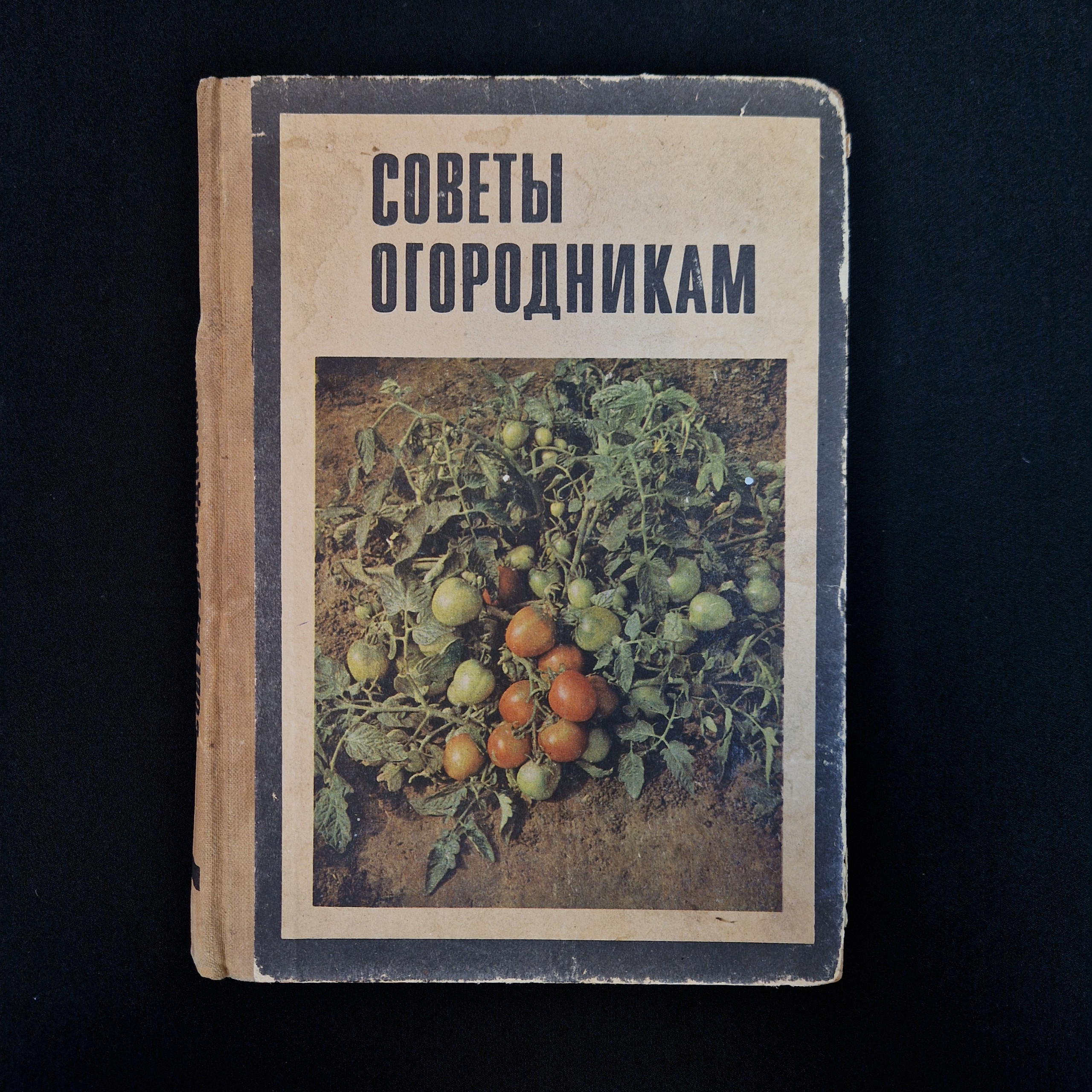 Картинка 1