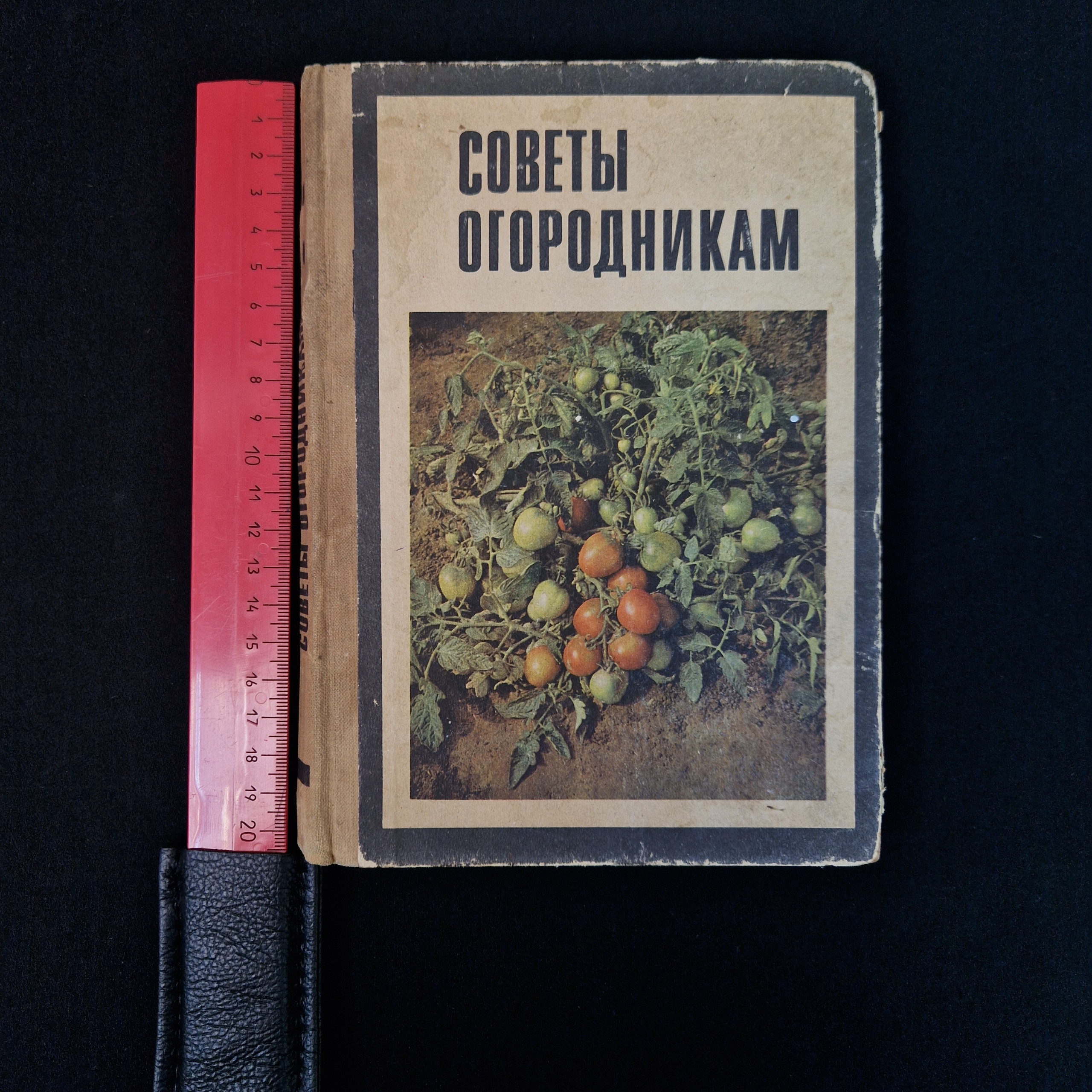 Картинка 7