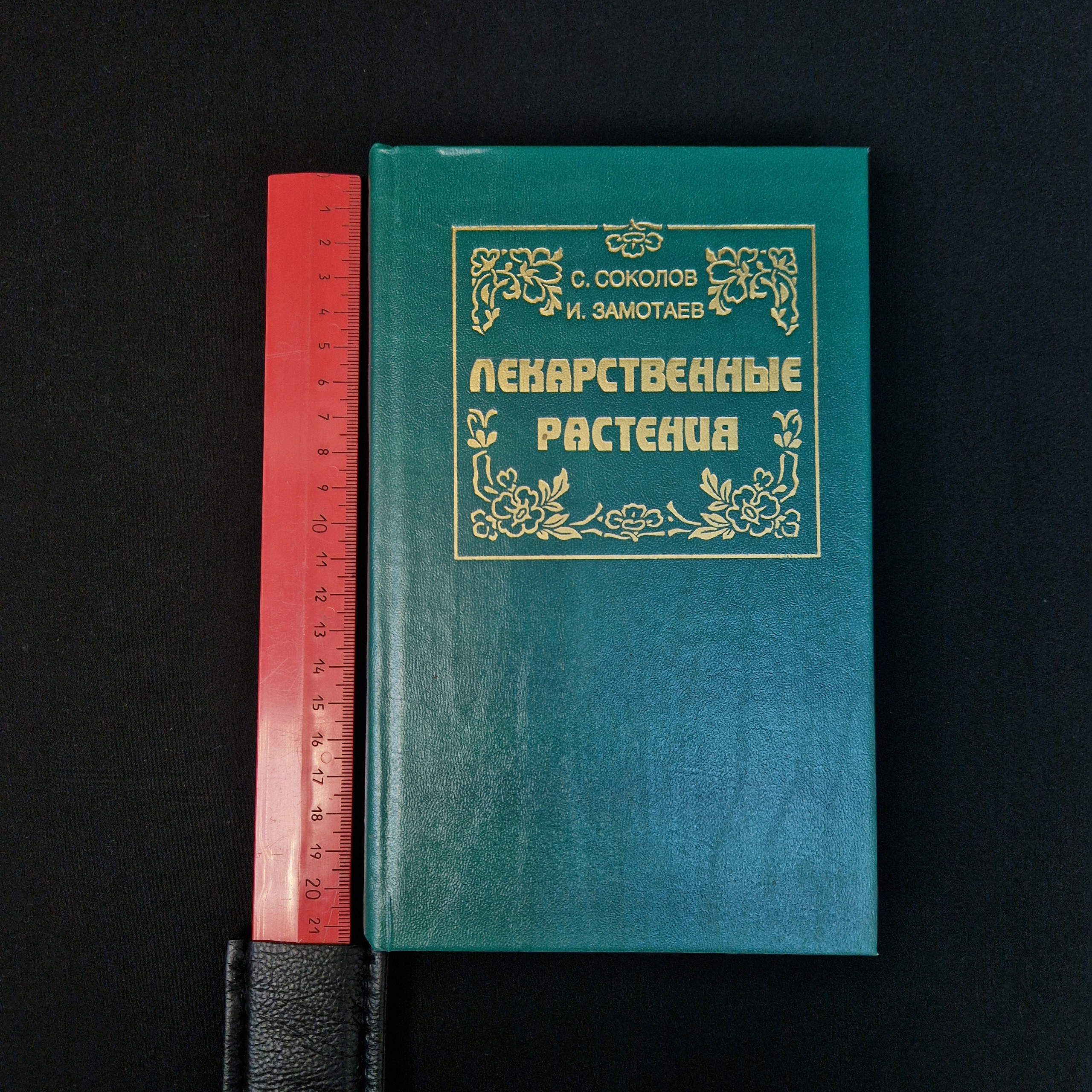 Картинка 8