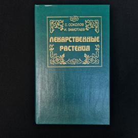Картинка 1