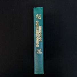 Картинка 2