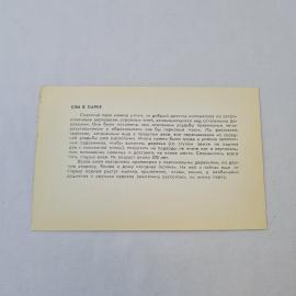 Картинка 2