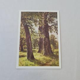 Открытка советская СССР. Шишкин Дубы, живопись, пейзаж, Русский музей. Винтаж коллекционный