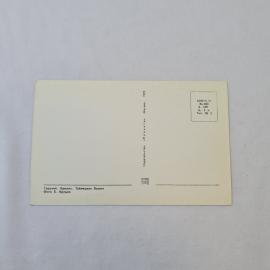 Картинка 2