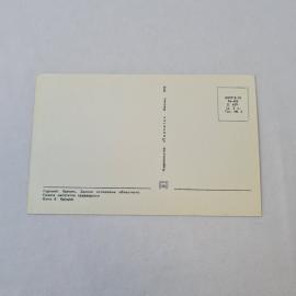 Картинка 2