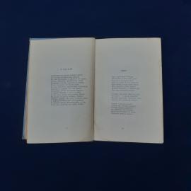 Картинка 7