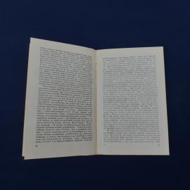 Картинка 3