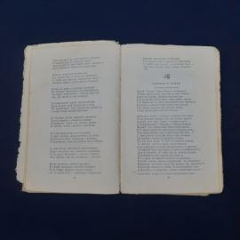 Картинка 2