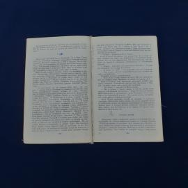 Картинка 3