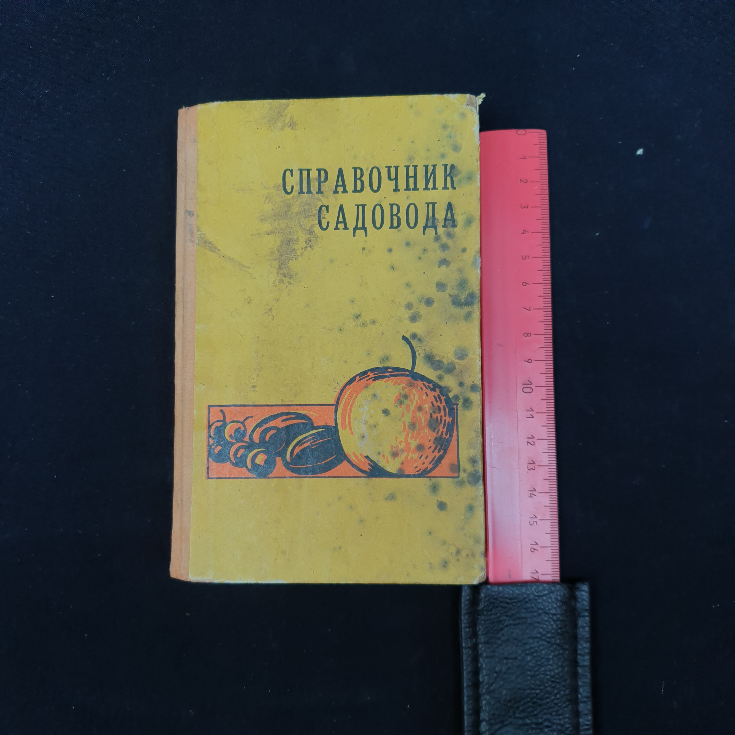 Картинка 6