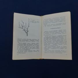 Картинка 3