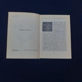Картинка 2