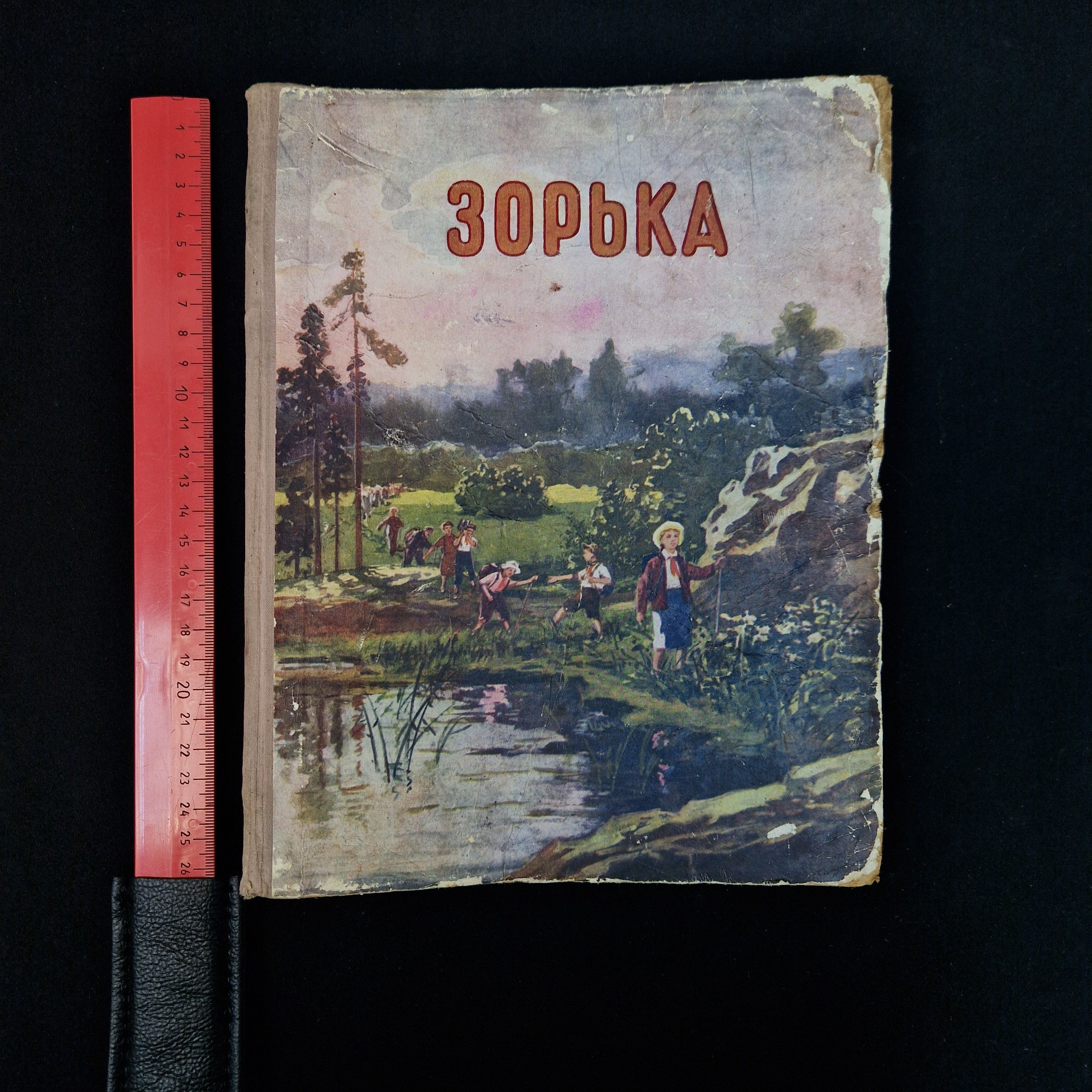 Картинка 8