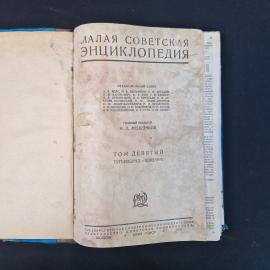 Картинка 4