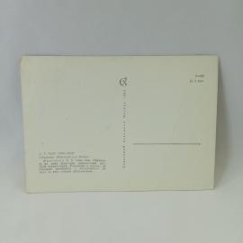 Картинка 2