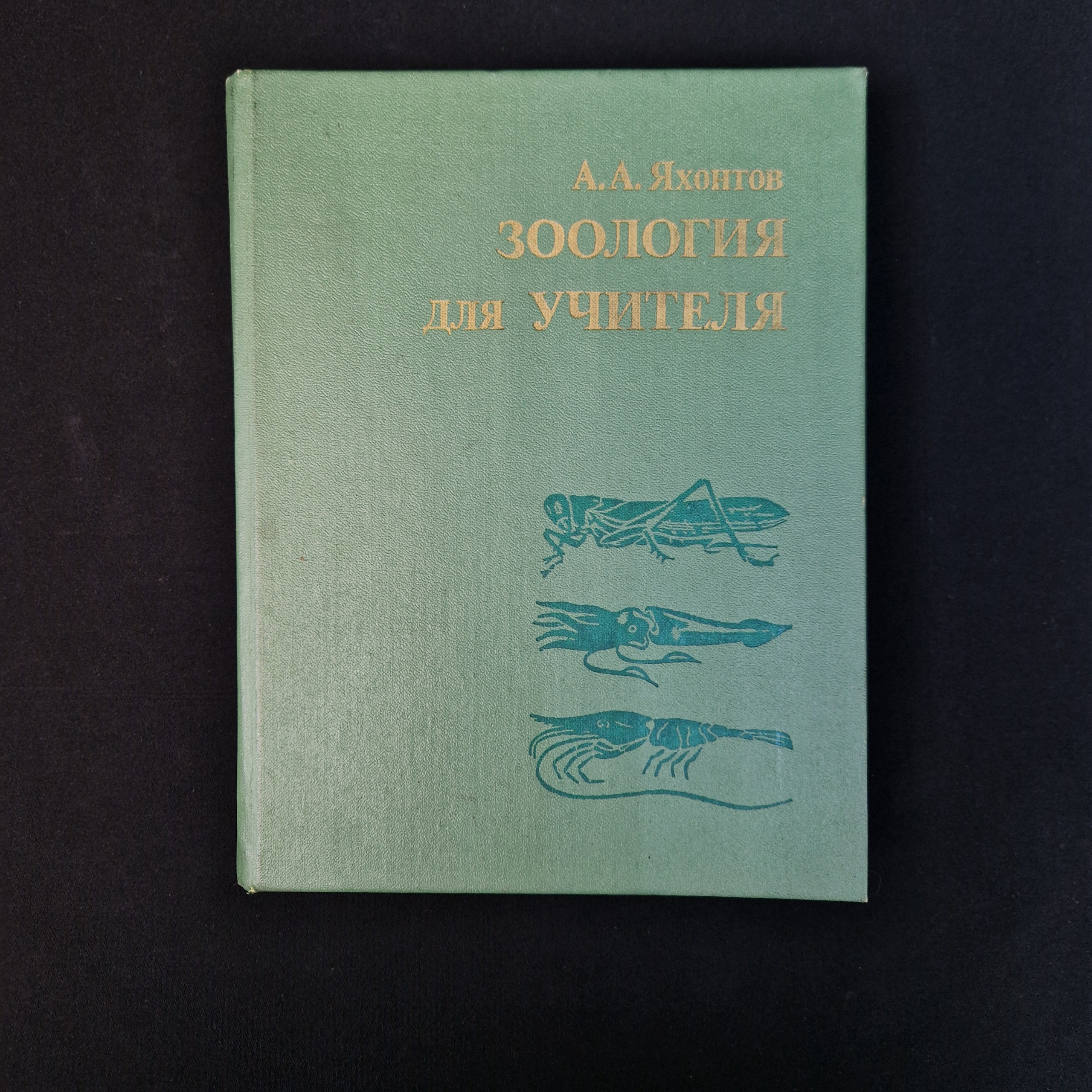 Картинка 1