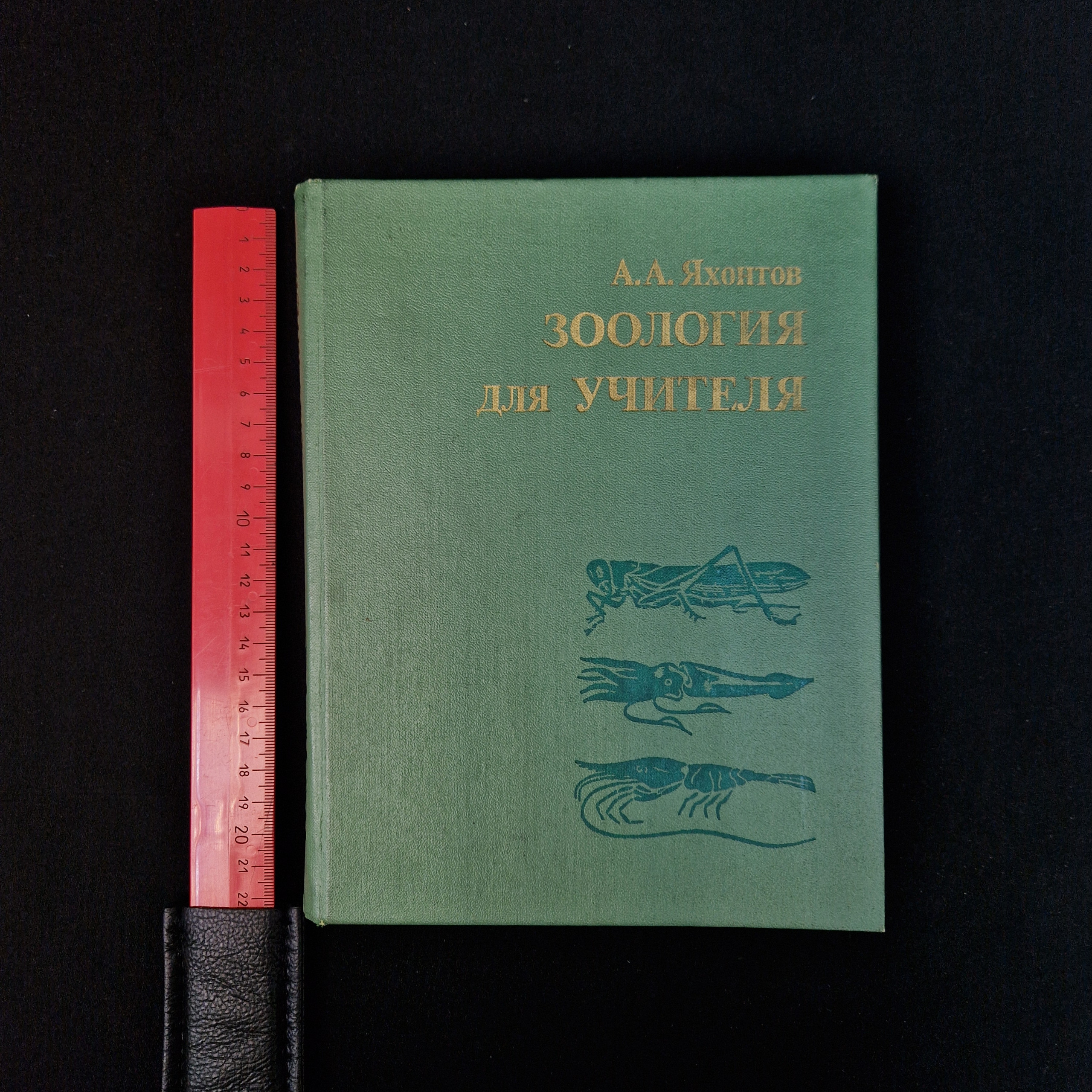 Картинка 9