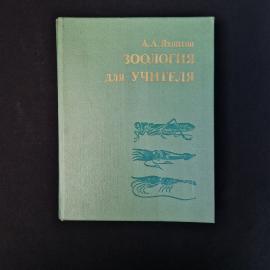 Книга винтажная, СССР. А. А. Яхонтов, Зоология для учителя, введение в изучение животных