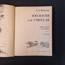 Картинка 4