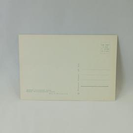 Картинка 2