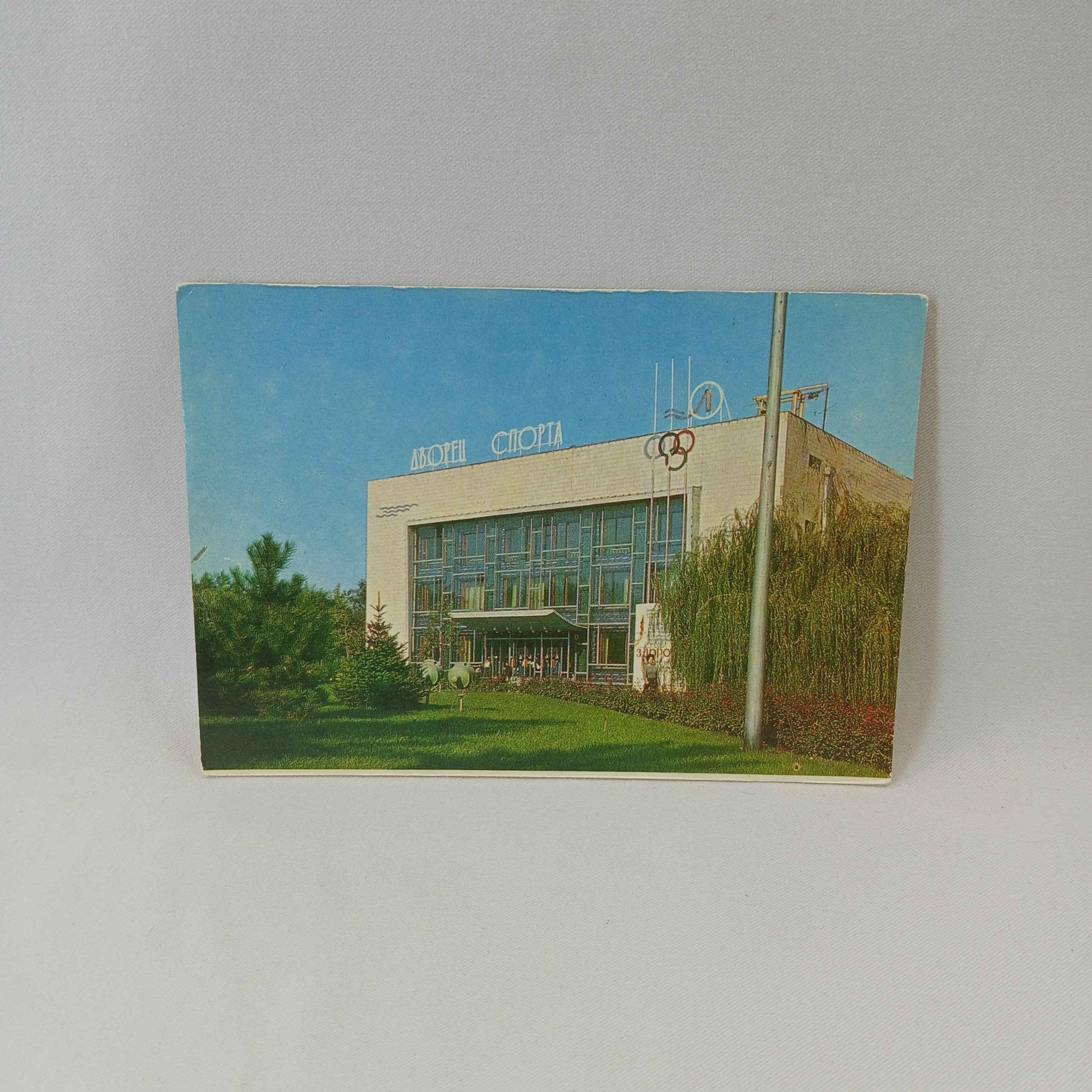 Картинка 1