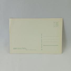 Картинка 2