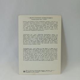 Картинка 2
