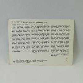 Картинка 2