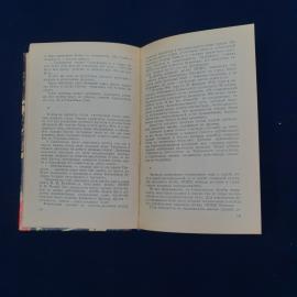 Картинка 3