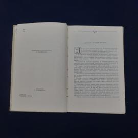 Картинка 2