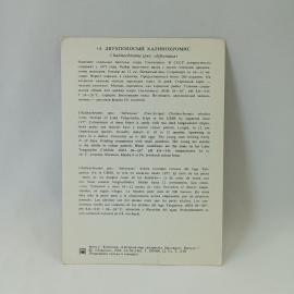 Картинка 2
